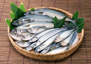 福生駅近くの魚に強い居酒屋について