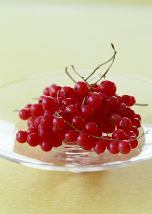 和食を食べるときには銀座の利用をする